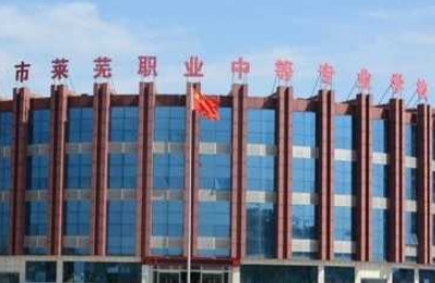 2023濟南市萊蕪職業(yè)中等專業(yè)學校多少錢 濟南市萊蕪職業(yè)中等專業(yè)學校各專業(yè)學費收費標準