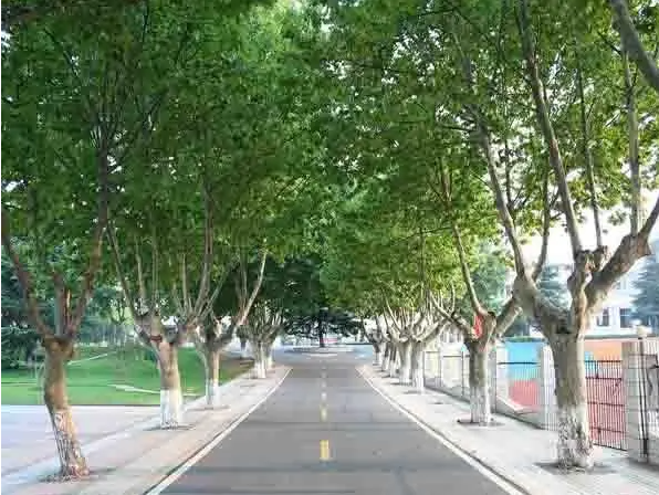 秦淮中學(xué)地址，乘車(chē)路線