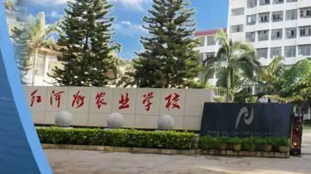 2024紅河排名前五的計算機學校名單