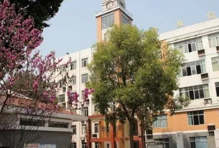 重慶2023年初中畢業(yè)能不能讀中專