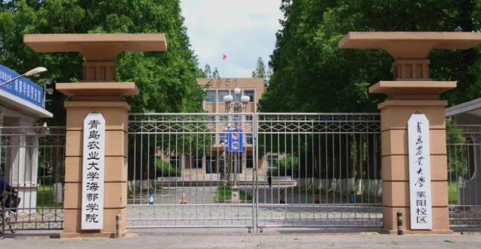 青島農業(yè)大學海都學院招生章程2023年