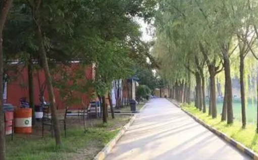 2023西安大中科技技工學校招生計劃 招生人數(shù)是多少(附要求、條件、對象)