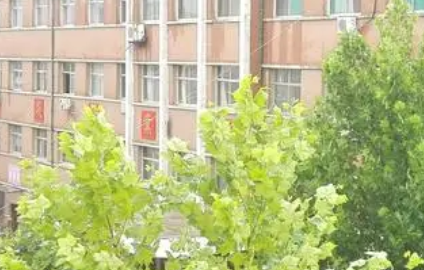 2023武城縣職業(yè)中等專業(yè)學(xué)校招生計(jì)劃 招生人數(shù)是多少(附要求、條件、對象)