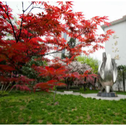 江蘇省南菁高級中學實驗學校