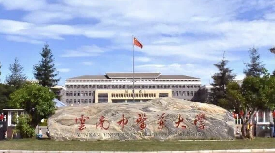 中國大學(xué)傣醫(yī)學(xué)專業(yè)排名（研究型）-校友會(huì)2023最新排名