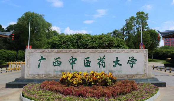 中國(guó)大學(xué)壯醫(yī)學(xué)專業(yè)排名（研究型）-校友會(huì)2023最新排名