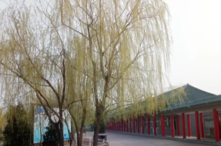 濱州愉悅職業(yè)技術(shù)學(xué)校怎么樣、好不好