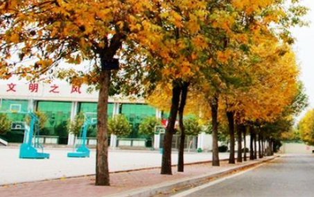 菏澤市定陶區(qū)職業(yè)中等專業(yè)學校地址，乘車路線