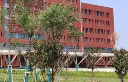 河北2023年上中專學(xué)?？刹豢梢钥即髮W(xué)