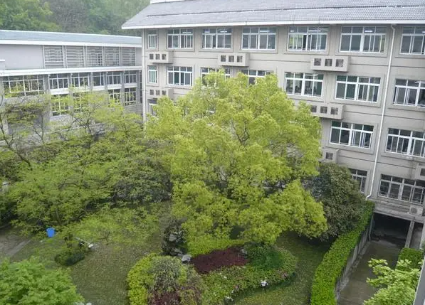 浙江師范大學(xué)附屬中學(xué)怎么樣、好不好