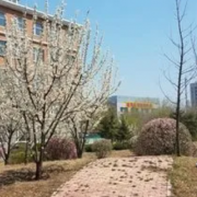 沈陽音樂藝術(shù)學(xué)校