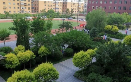 2023沈陽市外事服務(wù)學(xué)校招生計劃 招生人數(shù)是多少(附要求、條件、對象)