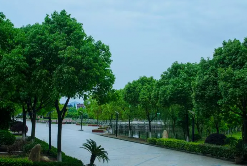 慈溪市滸山中學(xué)怎么樣、好不好