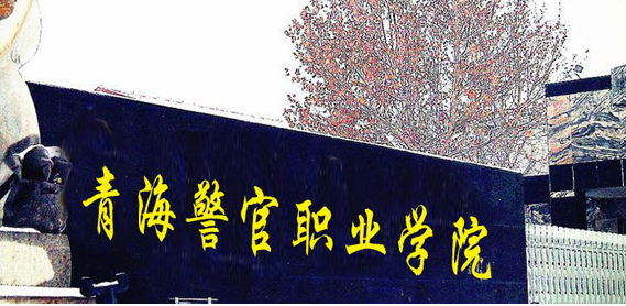 西寧政法類大學有哪些 西寧政法類大學名單一覽表