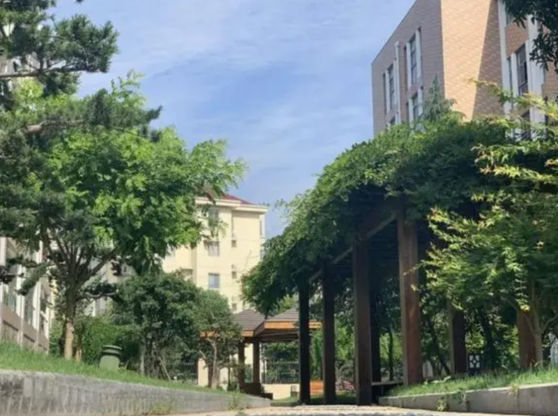 樂清國際外國語學校怎么樣、好不好