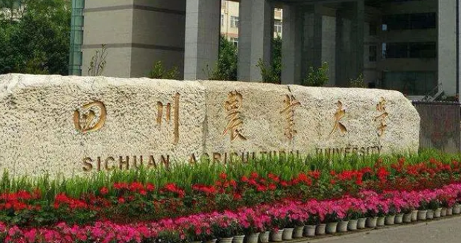 寧夏工程造價(jià)專業(yè)大學(xué)排名及分?jǐn)?shù)線一覽表