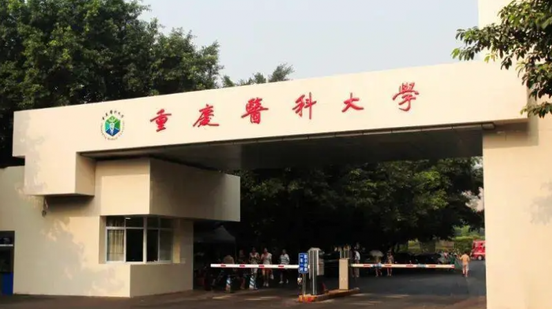 天津康復(fù)治療學(xué)專業(yè)大學(xué)排名及分?jǐn)?shù)線一覽表