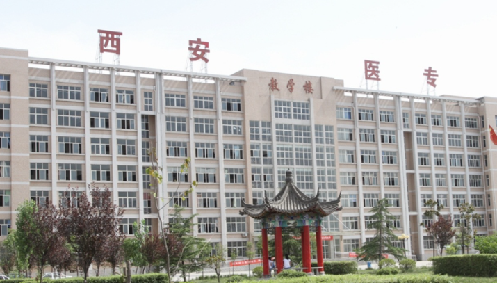 寧夏中醫(yī)康復(fù)技術(shù)專業(yè)大學(xué)排名及分?jǐn)?shù)線一覽表