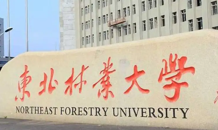 寧夏木材科學(xué)與工程專業(yè)大學(xué)排名及分?jǐn)?shù)線一覽表