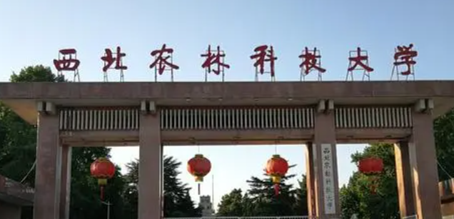 山西食品營養(yǎng)與健康專業(yè)大學排名及分數(shù)線一覽表