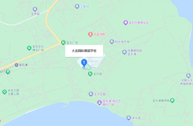大連國(guó)際舞蹈學(xué)校地址，乘車路線