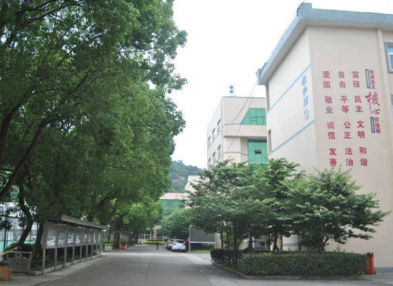 蒼南巨人中學怎么樣、好不好