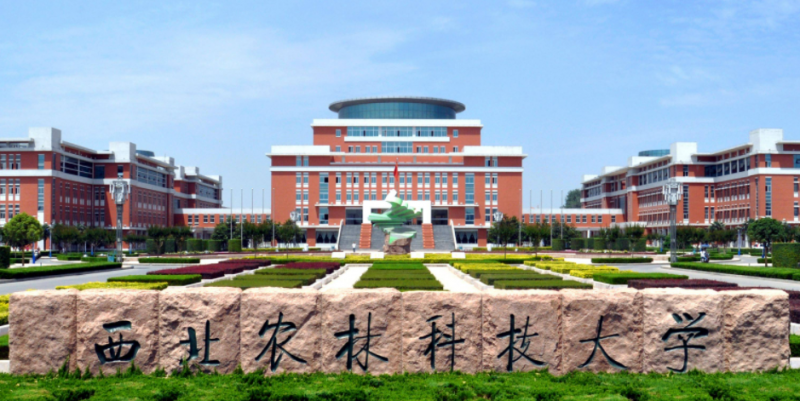 山西智慧農(nóng)業(yè)專業(yè)大學(xué)排名及分?jǐn)?shù)線一覽表