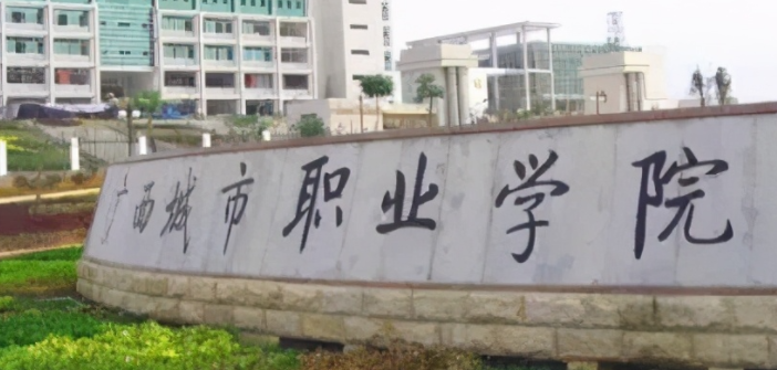 海南大數(shù)據(jù)與會計(jì)專業(yè)大學(xué)排名及分?jǐn)?shù)線一覽表
