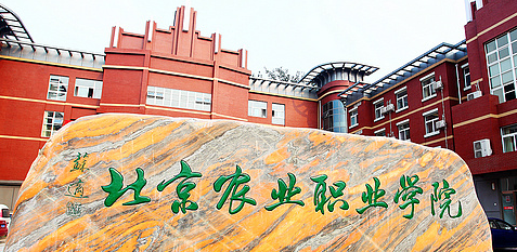 河南法律文秘專業(yè)大學排名及分數(shù)線一覽表