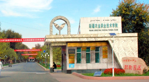 2023新疆?？茖W(xué)校排名一覽（2024參考）
