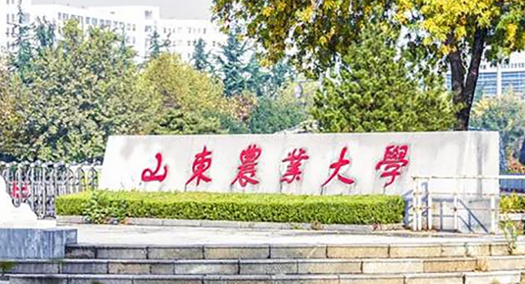 山東最好五個二本大學(xué)，2023山東二本院校完整名單一覽
