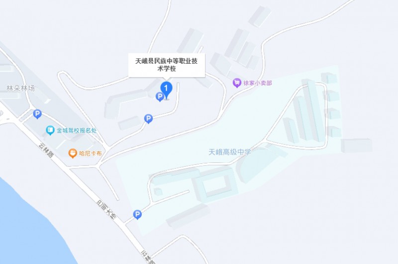 天峨縣民族中等職業(yè)技術(shù)學校地址，乘車路線