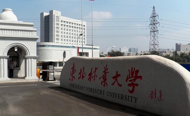 東北林業(yè)大學(xué)是什么樣的大學(xué) 985還是211高校（附王牌特色專(zhuān)業(yè)）
