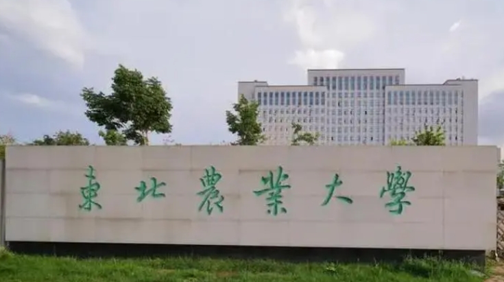 東北農(nóng)業(yè)大學是什么樣的大學 985還是211高校（附王牌特色專業(yè)）