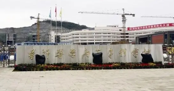 2024畢節(jié)醫(yī)學(xué)高等?？茖W(xué)校重點(diǎn)特色專業(yè)匯總表