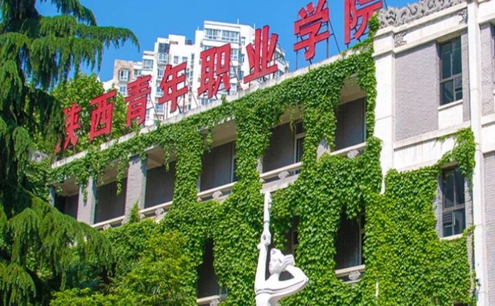 2024陜西青年職業(yè)學(xué)院重點特色專業(yè)匯總表