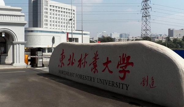 東北林業(yè)大學(xué)評價怎么樣,學(xué)校好不好