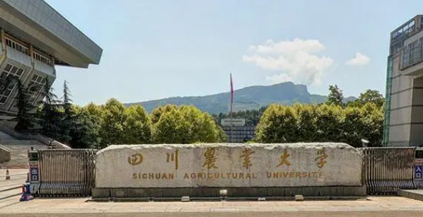 四川農業(yè)大學評價怎么樣,學校好不好