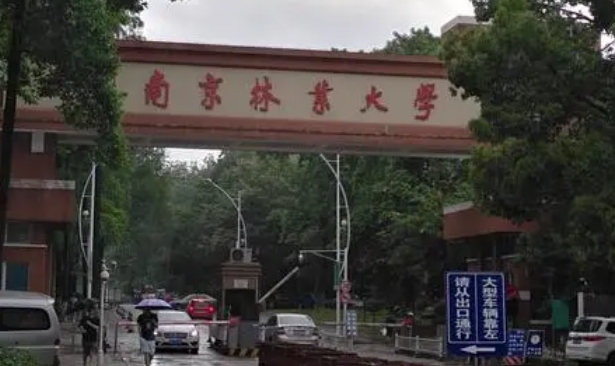南京林業(yè)大學評價怎么樣,學校好不好