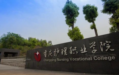 在重慶高考265分算什么水平（近三年）重慶高考265分能上的大學
