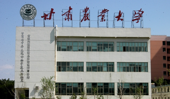 在甘肅高考435分算什么水平（近三年）甘肅高考435分能上的大學(xué) 