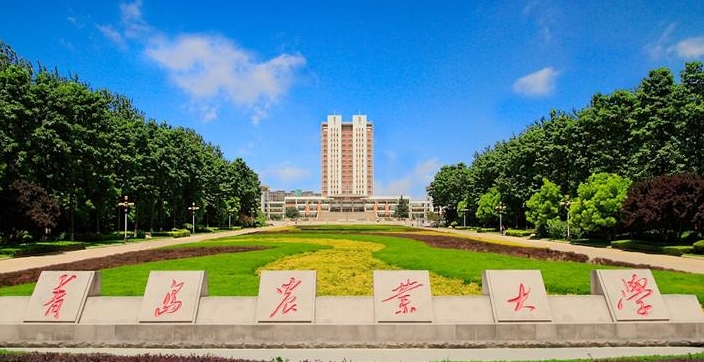 青島農(nóng)業(yè)大學(xué)高考錄取分?jǐn)?shù)線(xiàn)是多少