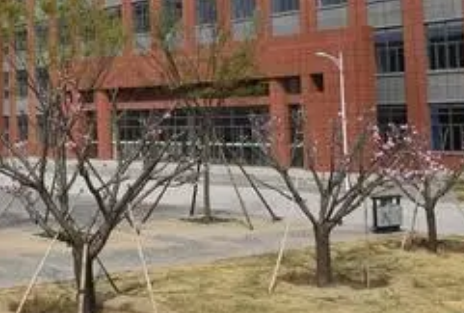 淄博科技學(xué)校2023年招生錄取分?jǐn)?shù)線(xiàn)（2024年參考）