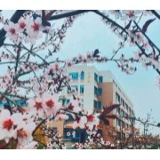 天和城實驗中學(xué)