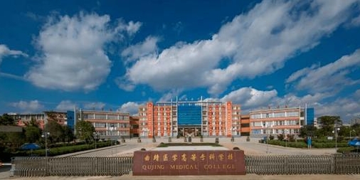 2024楚雄醫(yī)藥高等專(zhuān)科學(xué)校專(zhuān)業(yè)排行榜 