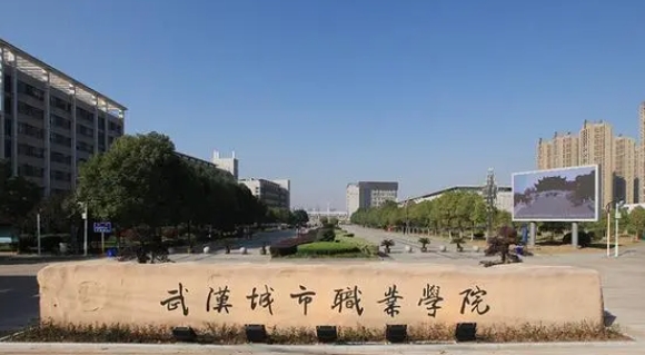 2024武漢城市職業(yè)學院專業(yè)排行榜 