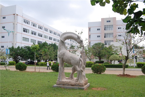海南2024中專(zhuān)學(xué)校都有哪些