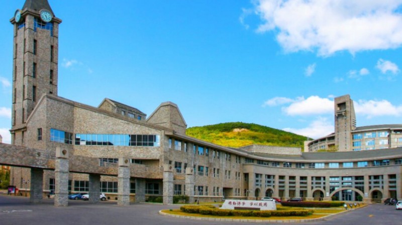 大連東軟信息學院高考錄取分數(shù)線是多少（2024參考）