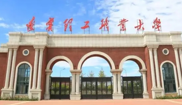遼寧理工職業(yè)大學(xué)高考錄取分?jǐn)?shù)線(xiàn)是多少（2024參考）