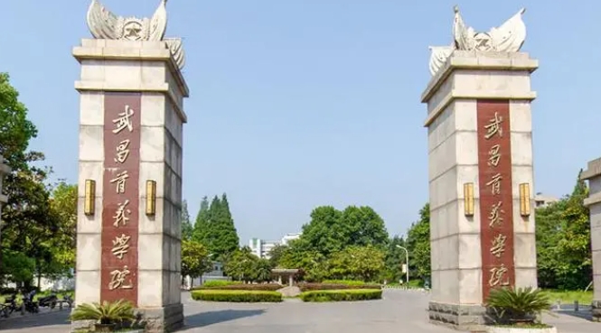 武昌首義學院高考錄取分數線是多少（2024參考）
